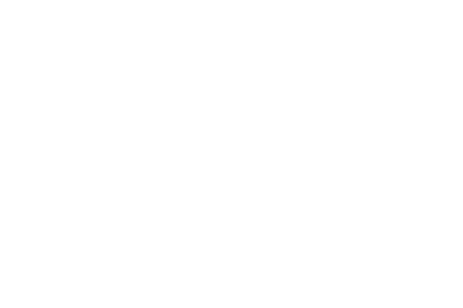 AYLI CONSULTING